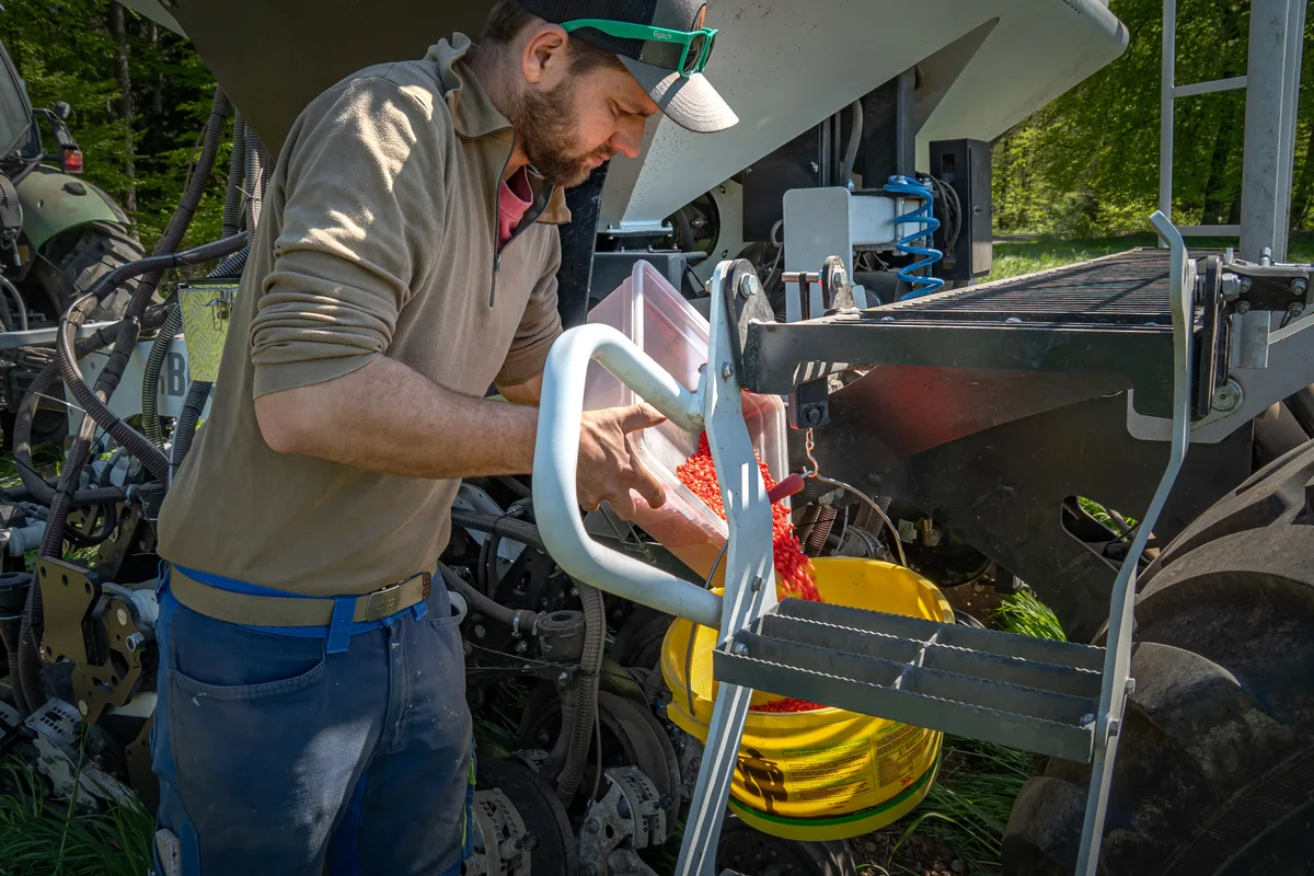 Ab und an muss Benjamin Denzler etwas Mais nachfüllen. Die Mengen sind fast aufs Korn genau berechnet. Ein Bauer füllt Maiskörner in einen Kübel.